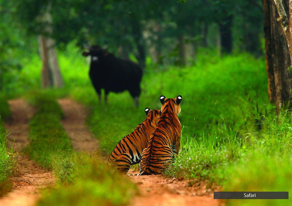 The Serai Bandipur Exterior photo